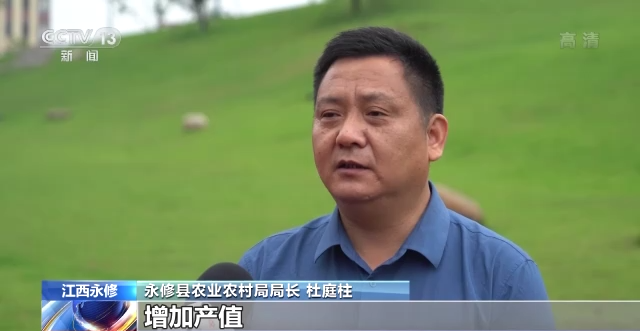 在希望的田野上·三夏時節丨抓緊搶收晚播小麥 確保顆粒歸倉