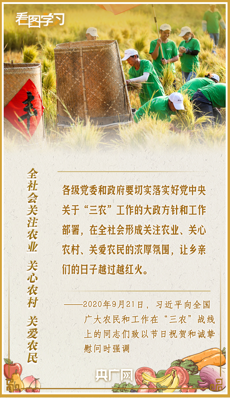 看圖學習·豐收節丨讓鄉親們增收致富 總書記這樣謀劃