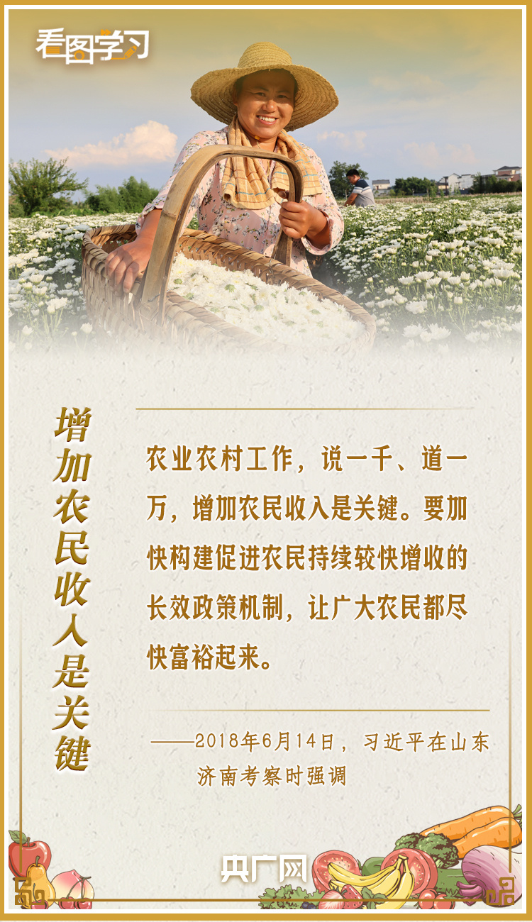 看圖學習·豐收節丨讓鄉親們增收致富 總書記這樣謀劃