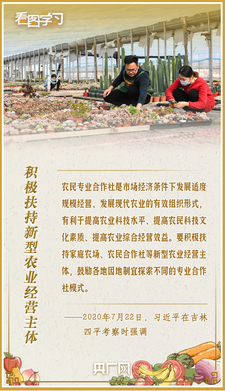 看圖學習·豐收節丨讓鄉親們增收致富 總書記這樣謀劃