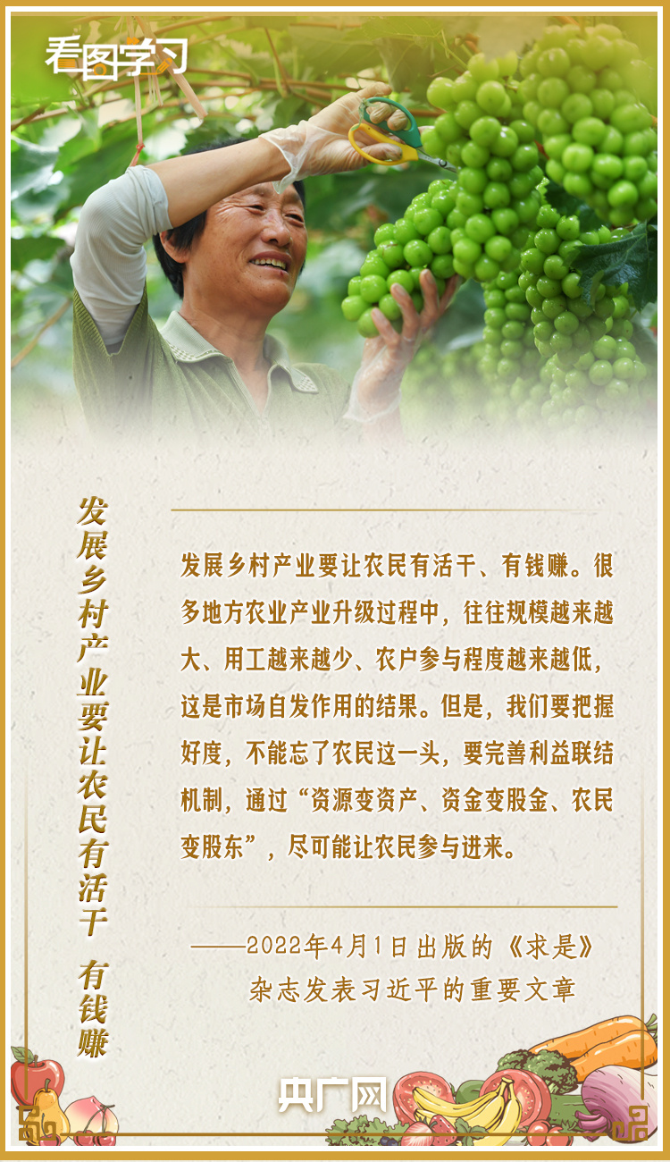 看圖學習·豐收節丨讓鄉親們增收致富 總書記這樣謀劃