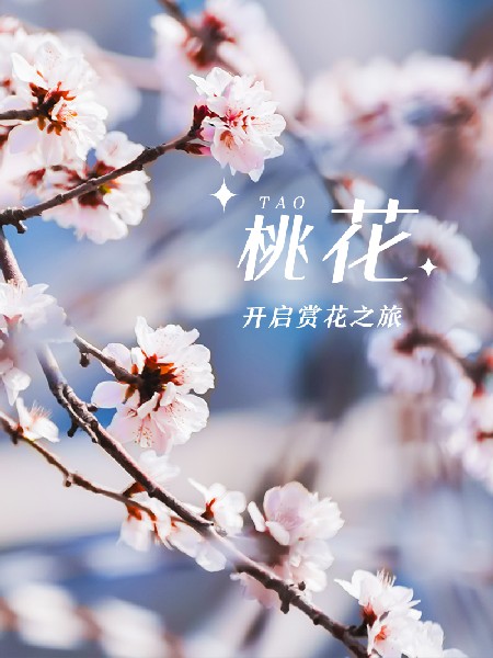 追花指南第三期！別等了 今天就去和桃花撞個滿懷