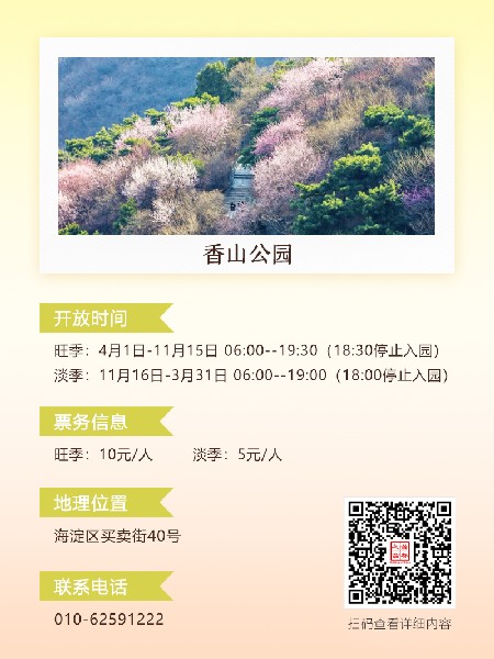 追花指南第六期！杏花雨 楊柳風 北京最美的杏花在這里