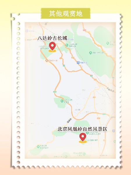 追花指南第六期！杏花雨 楊柳風 北京最美的杏花在這里