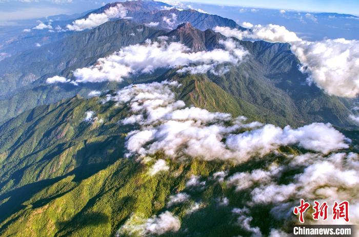 云南保山推行“林長制”筑牢中國西南生態安全屏障