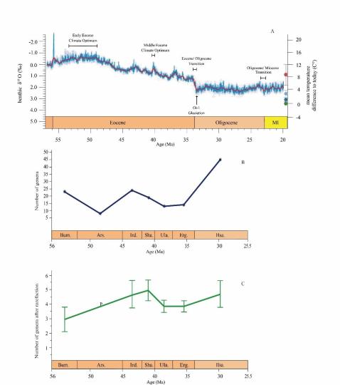 早始新世至早漸新世東亞嚙齒類屬級多樣性變化。　中科院古脊椎所 供圖