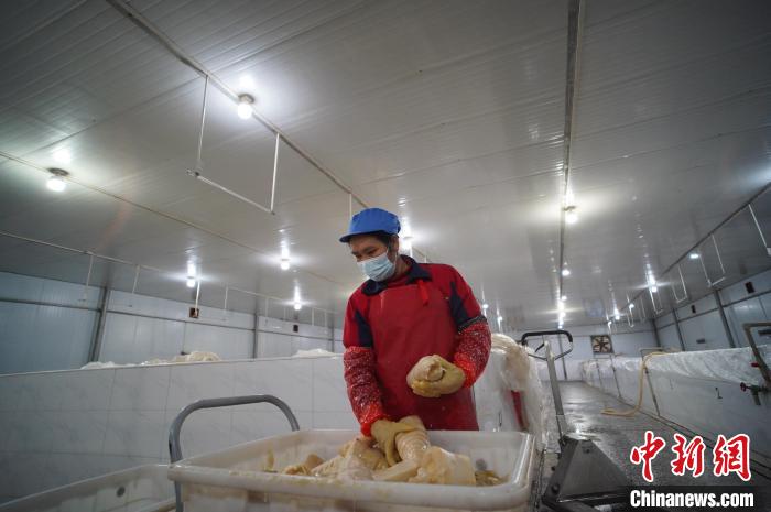 圖為一名工人正在查看酸筍腌制效果。　韋國(guó)政 攝