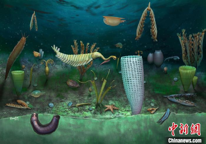 Castle Bank動(dòng)物群藝術(shù)復(fù)原圖(Yang Dinghua繪制)。　施普林格·自然 供圖