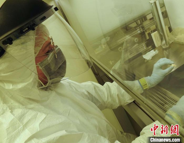 Elena Essel在凈室中處理鹿牙墜飾(圖片來自馬克斯·普朗克演化人類學(xué)研究所)。　施普林格·自然 供圖