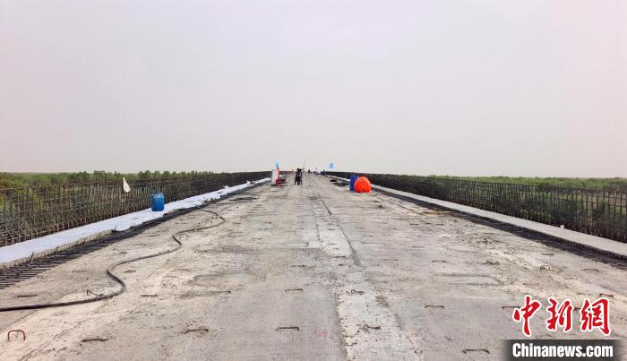 工作人員正在橋面上緊張有序地施工。 史玉江 攝