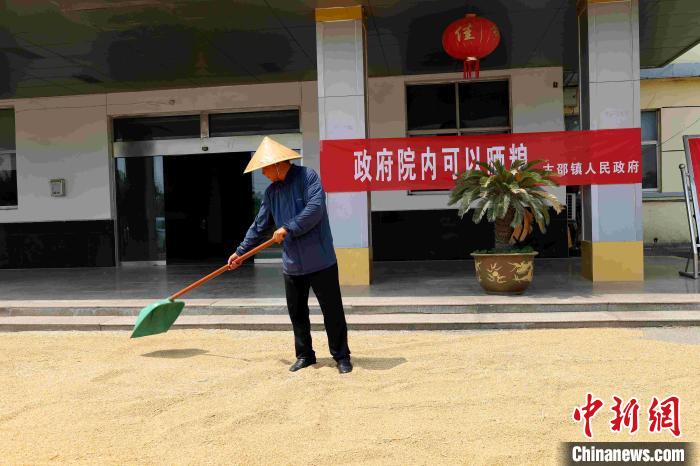 村民在棗莊市嶧城區古邵鎮政府大院內晾曬糧食?！『?　攝