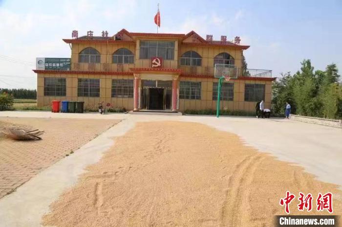農民在邳莊鎮尚莊村黨群服務中心大院里曬糧?！≠Z萌 攝
