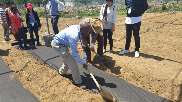 孫釗現場指導農民耕種。受訪者供圖