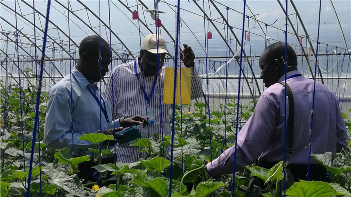 孫釗向當地農戶講解粘蟲板工作原理。受訪者供圖