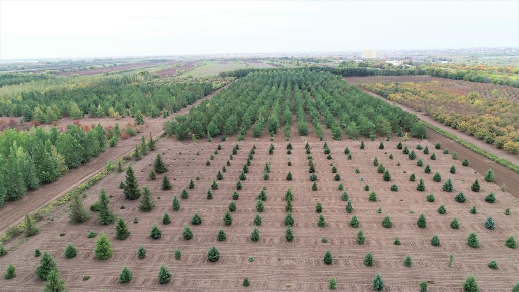 這是2023年9月11日在哈薩克斯坦首都阿斯塔納拍攝的一處植物種質資源苗圃（無人機照片）。新華社發（法爾哈特·圖克諾夫 攝）