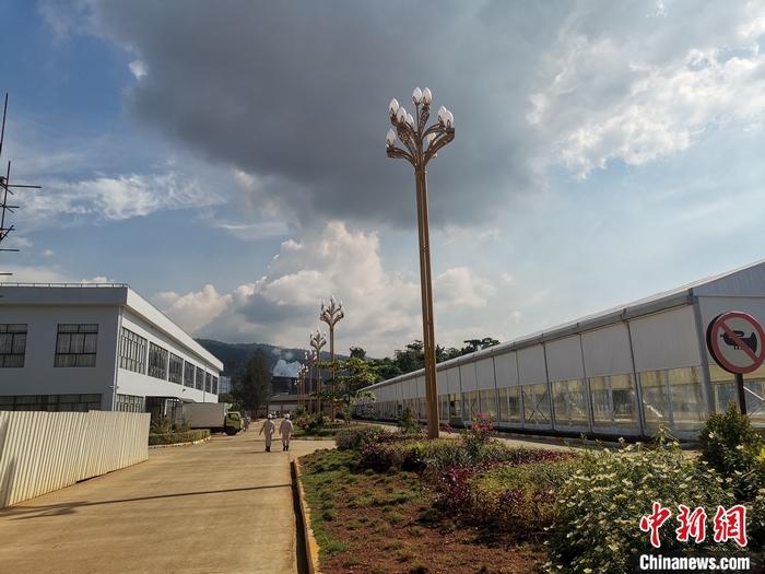 圖為園區生活區。 受訪者供圖