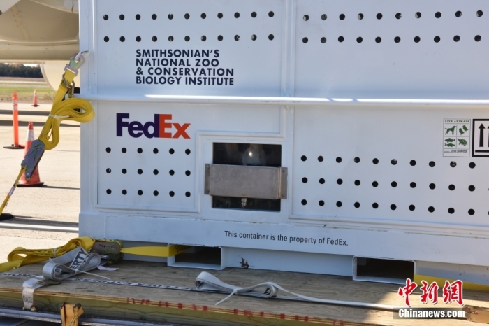 當地時間11月8日，美國華盛頓史密森學會國家動物園的大熊貓“美香”“添添”和它們的幼崽“小奇跡”乘坐的專機從華盛頓杜勒斯國際機場起飛前往中國成都。圖為裝有大熊貓的特制“旅行箱”。<a target='_blank' href='/'><p  align=