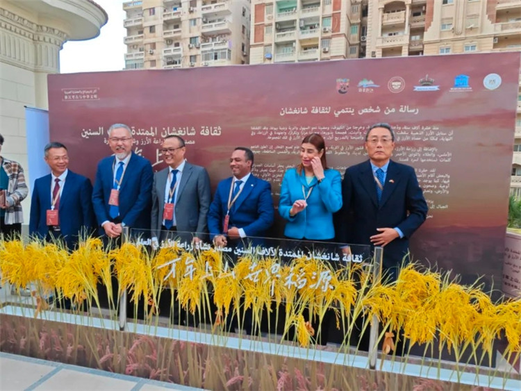 圖為現場嘉賓為特展啟幕。開羅中國文化中心供圖