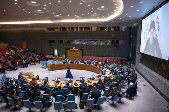 這是2023年11月20日在位于紐約的聯合國總部拍攝的安理會“共同發展促進持久和平”公開辯論會現場。中國作為輪值主席，倡議聯合國安理會20日舉行主題為“共同發展促進持久和平”的公開辯論會。新華社發（聯合國供圖/埃斯金德·德貝卜攝）