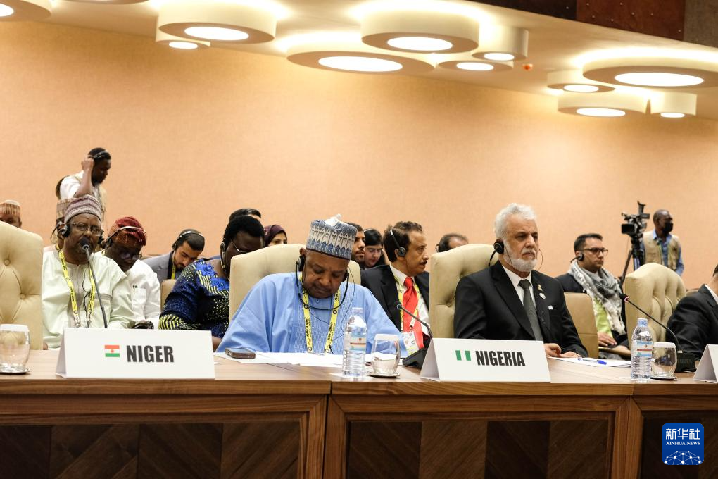 1月20日，與會代表出席在烏干達首都坎帕拉舉行的不結盟運動第19次峰會閉幕式。新華社發（阿佳拉·納瓦達攝）