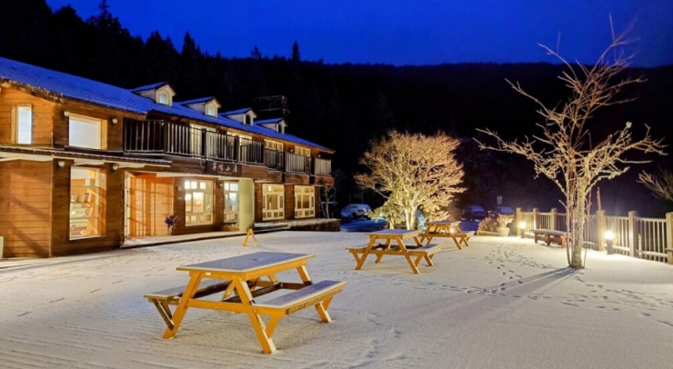 位在宜蘭縣內的太平山森林游樂區23日凌晨開始下雪,園區翠峰山屋前一片雪白。圖片來源:臺灣“中央社”。