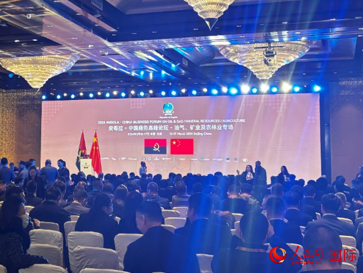 2024安哥拉—中國商務高峰論壇現場。人民網記者 張榮攝