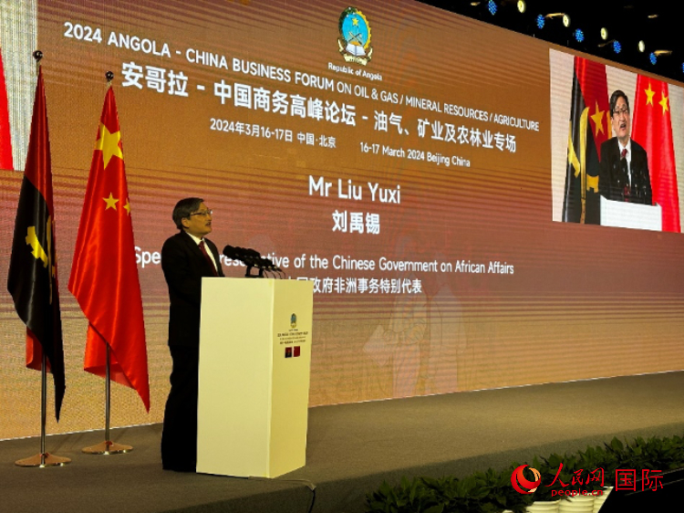 中國政府非洲事務特別代表劉禹錫。人民網記者 張榮攝