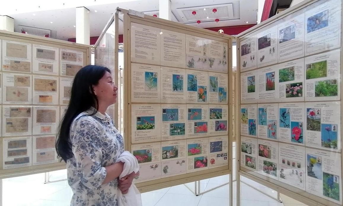 藥用植物極限片展覽場景。第七屆阿聯酋集郵展主辦方供圖