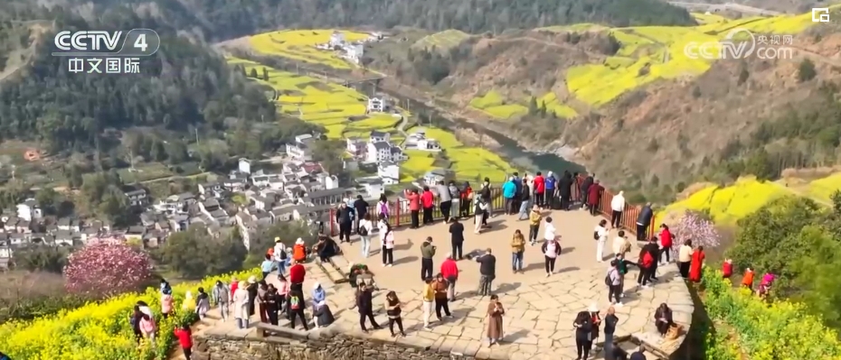 “春日經濟”熱力十足 “賞花+”融合煥新創造發展場景式消費新機遇