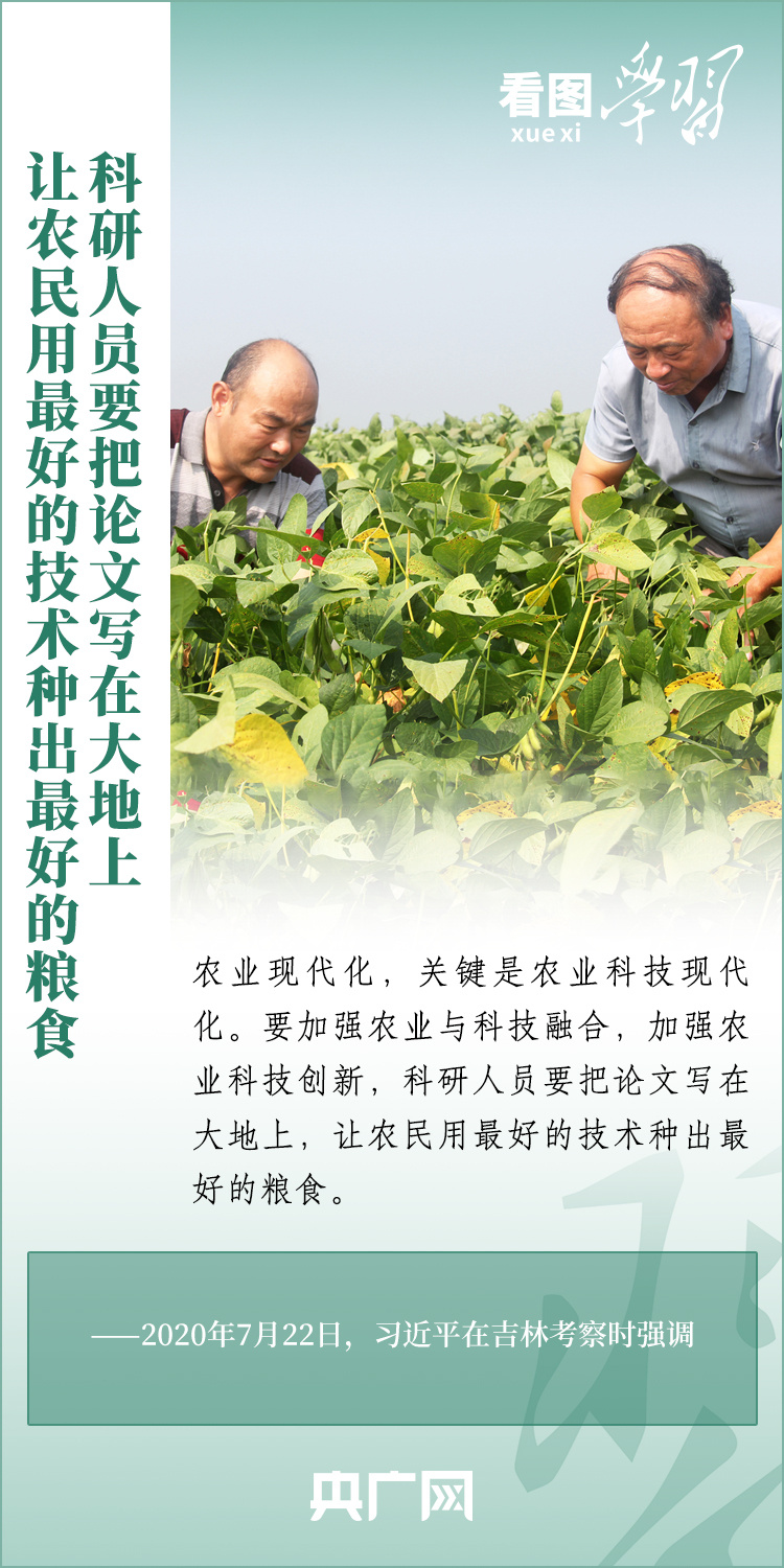 看圖學(xué)習(xí)丨推廣良田、良種、良法、良機(jī) 給農(nóng)業(yè)現(xiàn)代化插上科技的翅膀