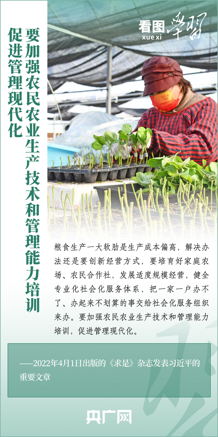 看圖學(xué)習(xí)丨推廣良田、良種、良法、良機(jī) 給農(nóng)業(yè)現(xiàn)代化插上科技的翅膀