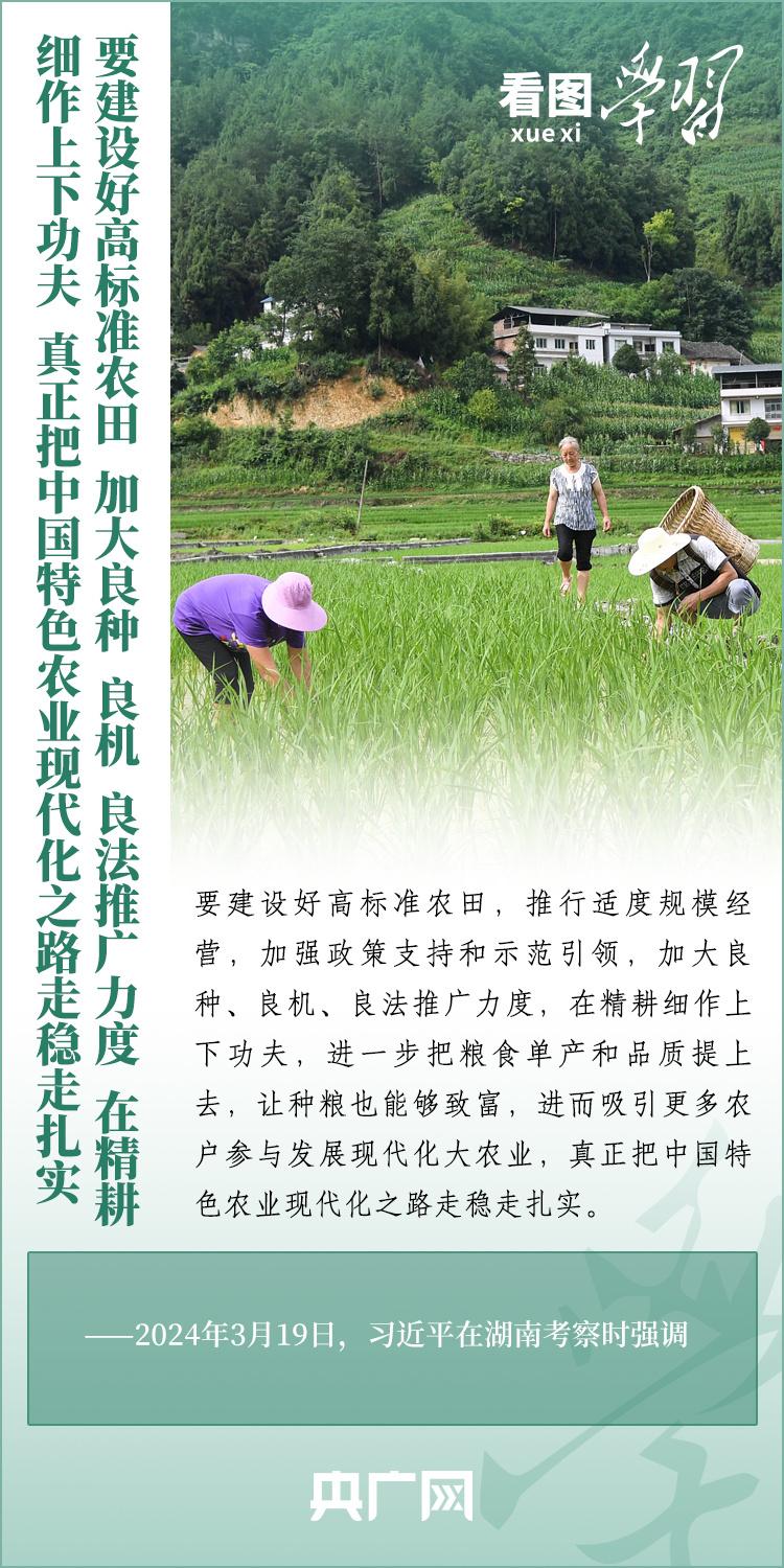 看圖學(xué)習(xí)丨推廣良田、良種、良法、良機(jī) 給農(nóng)業(yè)現(xiàn)代化插上科技的翅膀