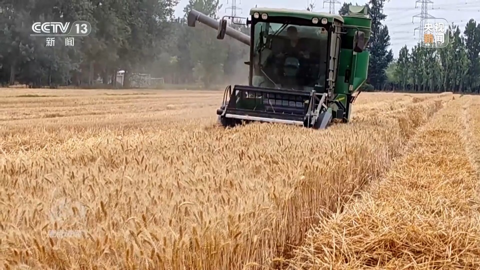 焦點訪談丨一粒良種 萬擔好糧 探索農作物高產高質“新密碼”