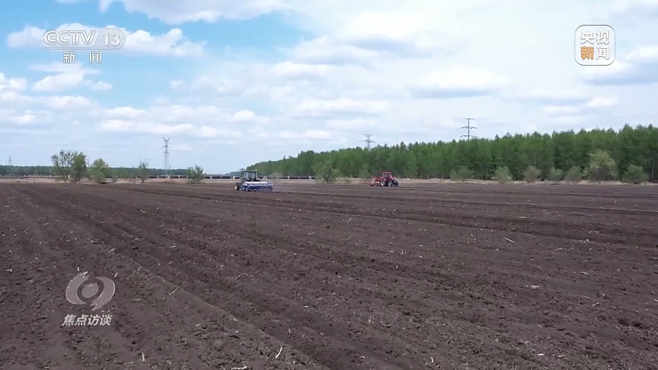 焦點訪談丨一粒良種 萬擔好糧 探索農作物高產高質“新密碼”