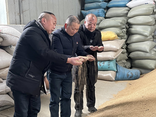 桃江種糧大戶與農村農業局技術人員正在查看春耕種子情況。受訪單位供圖