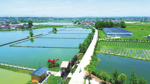 近年來，大成橋鎮(zhèn)堅持加強黨對鄉(xiāng)村治理的集中統(tǒng)一領(lǐng)導，該鎮(zhèn)鄉(xiāng)村治理模式入選第二批全國鄉(xiāng)村治理典型案例。圖為美麗的大成橋鎮(zhèn)。（資料圖片）