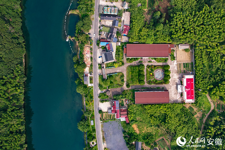 儲家灘民宿區。人民網記者 苗子健攝