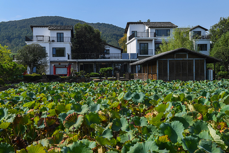 雨悅山房負責人原來在馬達加斯加打理酒店,之所以“從馬達加斯加到肥東”,源于對家鄉民宿前景看好。吳芳攝