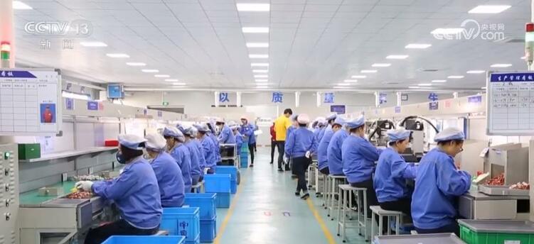 開年拼經濟號角吹響 多領域釋放穩開局積極信號