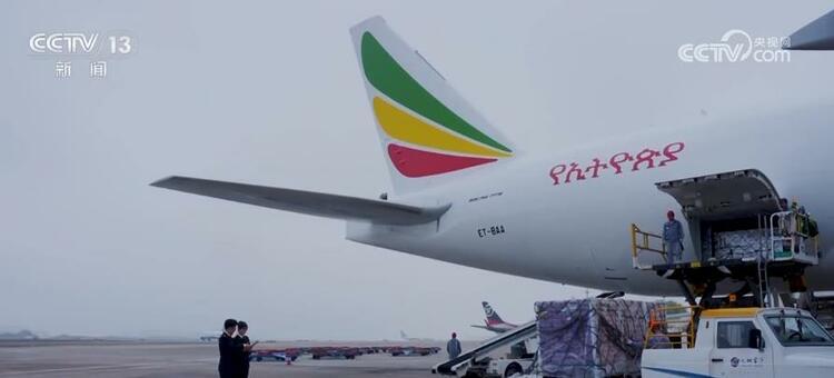 開年拼經濟號角吹響 多領域釋放穩開局積極信號