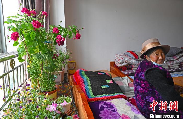 圖為曲松縣特困人員集中供養中心老人德吉卓嘎與她的花。　趙朗 攝
