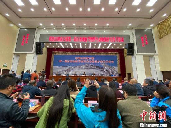 圖為祁連山國家公園第一屆自然觀察節開幕式現場。　李江寧　攝 　　