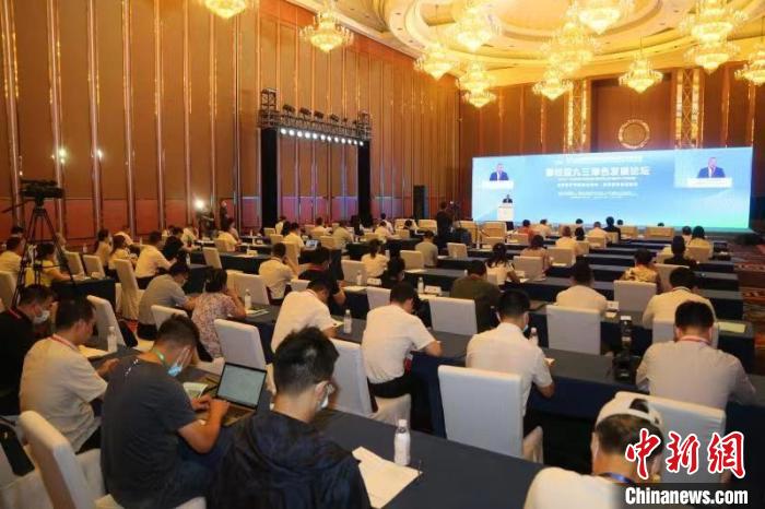 圖為論壇現場。　四川省委統戰部供圖