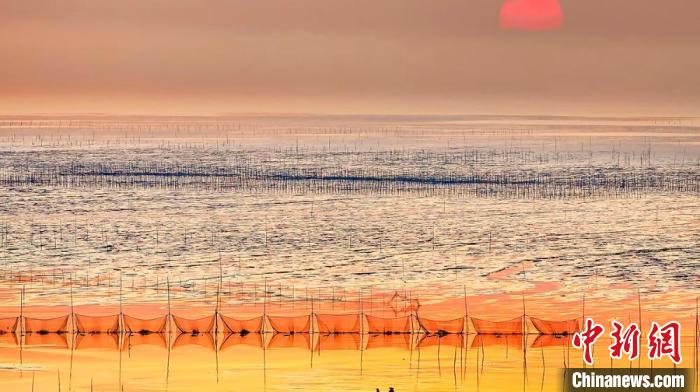 江蘇鹽城被譽(yù)為金灘銀蕩、魚米之鄉(xiāng)?！←}城市委宣傳部供圖
