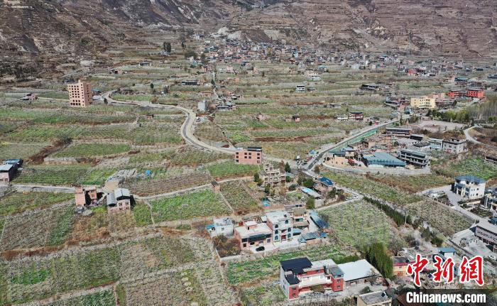 潔白的李花與村寨交相輝映，勾勒出一幅美麗的和諧生態畫卷?！『吻搴?攝