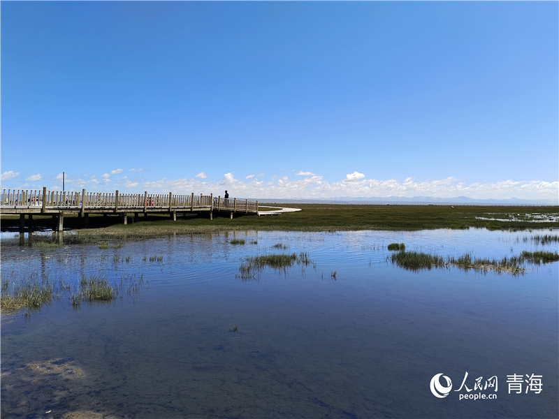   青海湖仙女灣。人民網 張莉萍攝