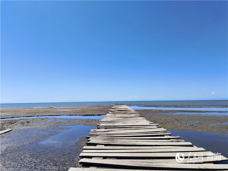   青海湖仙女灣。人民網 張莉萍攝