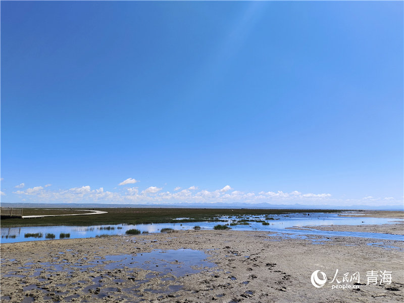   青海湖仙女灣。人民網 張莉萍攝