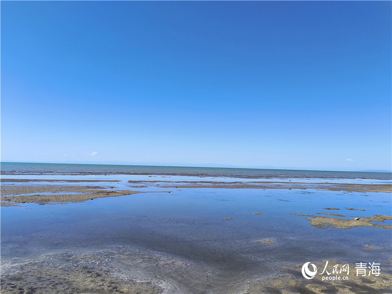  青海湖仙女灣。人民網 張莉萍攝