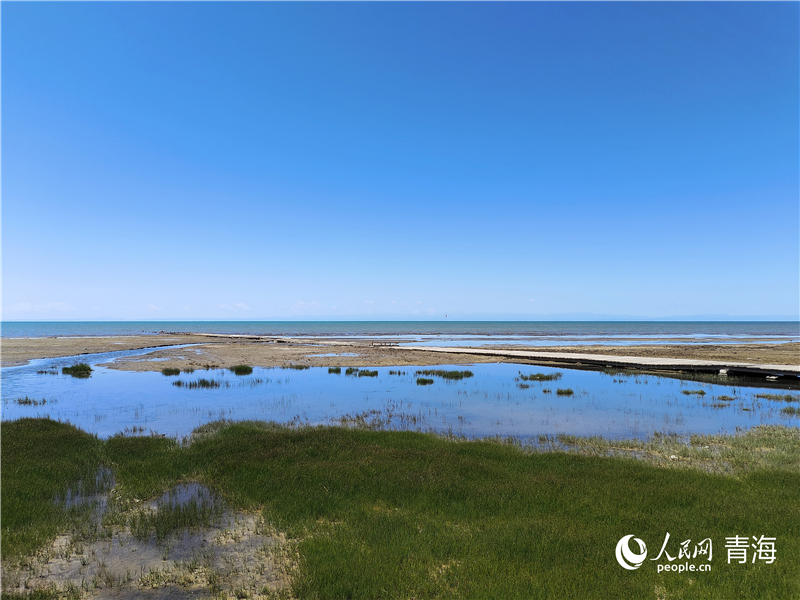   青海湖仙女灣。人民網 張莉萍攝
